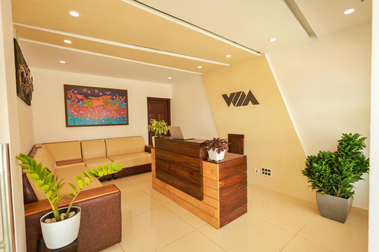The Windy Mist Resort Munnar Chinnakanal Dış mekan fotoğraf